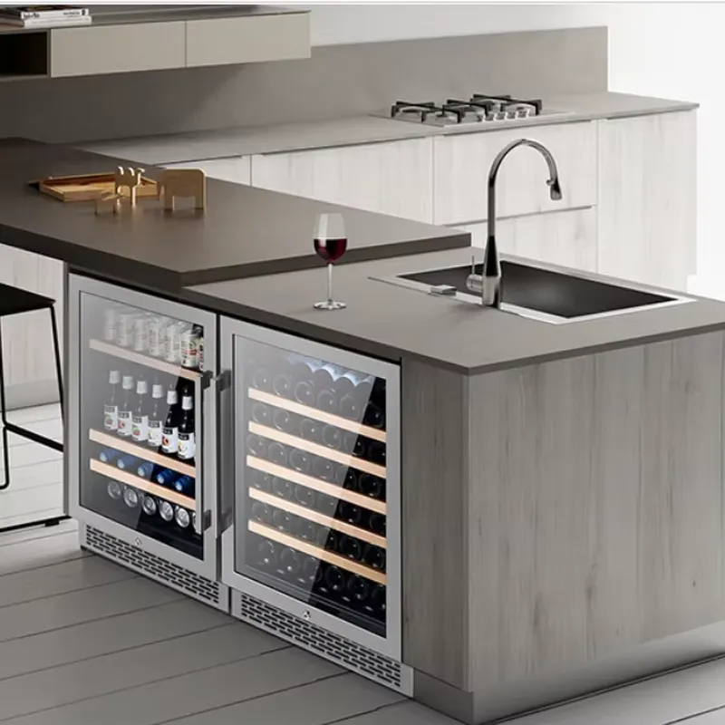 Wijnkoelkast met dubbele glaze - Wine Beer Fridge Dual Zone recensie en prijs
